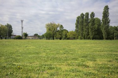 İtalya kırsalında bir parkın yanında kır çiçekleri olan bir tarla.