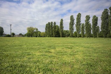 İtalya kırsalında bir parkın yanında kır çiçekleri olan bir tarla.