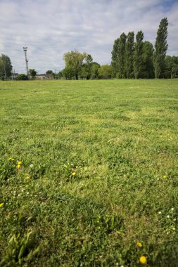 İtalya kırsalında bir parkın yanında kır çiçekleri olan bir tarla.