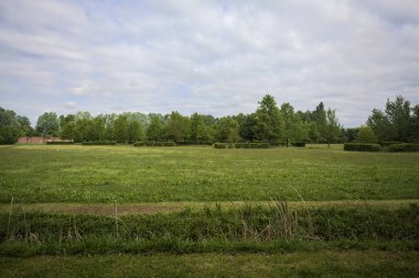 Siperin arkasındaki parkta temizlik.