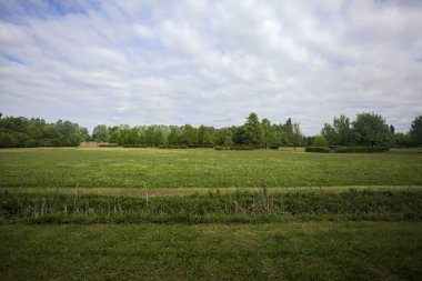 Siperin arkasındaki parkta temizlik.