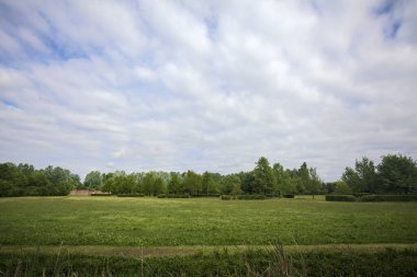 Siperin arkasındaki parkta temizlik.