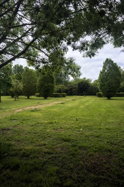 Bir grup ağaca giden parktaki patika.