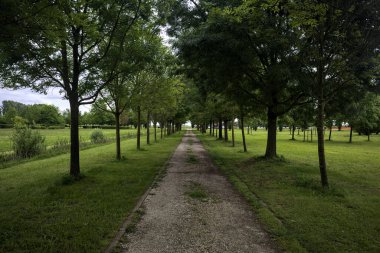 Ağaçlar arasında iz