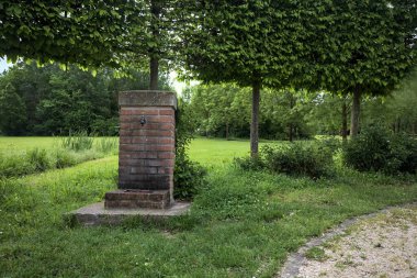 Parktaki ağaçların yanındaki çeşme.