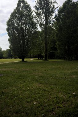 Bir düzlükten geçen çakıl izleri.