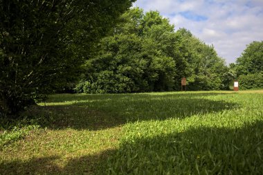 Parkta ağaçlarla dolu bir yer.