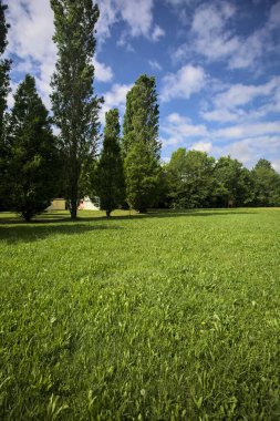 Bina bir çember ve çeşmeye benziyor.