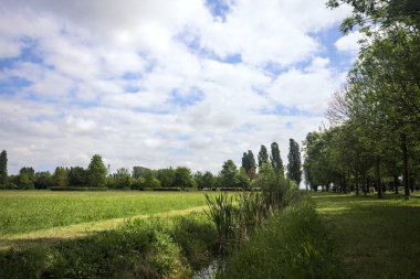 Siperin arkasındaki parkta temizlik.