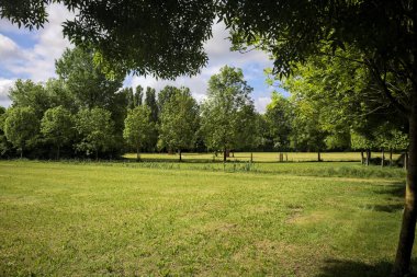 Siperin arkasındaki parkta temizlik.