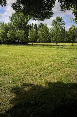 Siperin arkasındaki parkta temizlik.