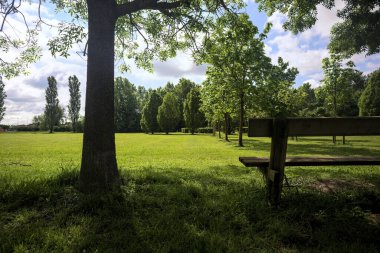 Ağaçların gölgesinin altında