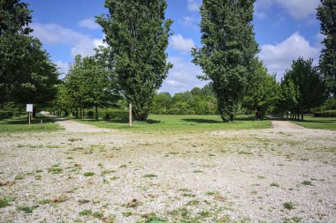 Kavak ağaçlarıyla çevrili çakıl temizliği