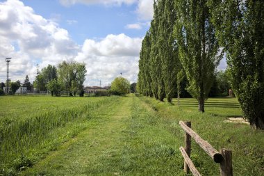 Çimen yolu hendekle çevrili.