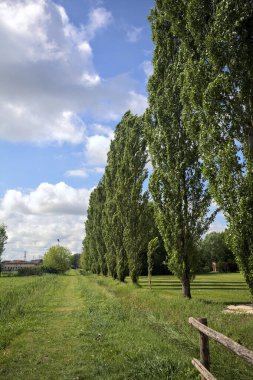 Çimen yolu hendekle çevrili.