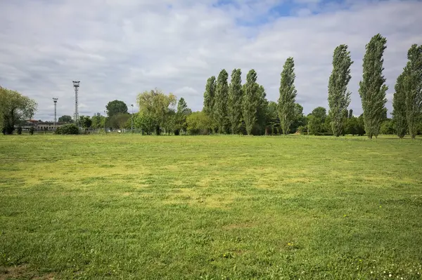 stock image Field with wild flowers next to a park in the italian countryside