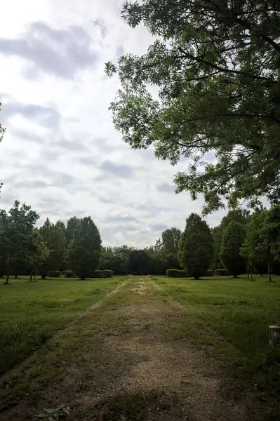 stock image Trail in a park that leads to a group of trees