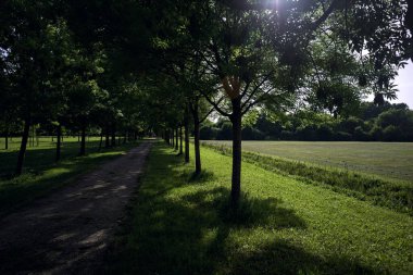 Gün batımında bir parkta temizlik.