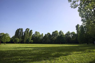 Gün batımında bir parkta temizlik.