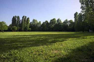 Gün batımında bir parkta temizlik.