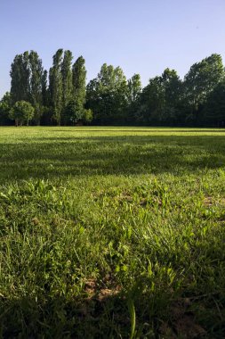 Gün batımında bir parkta temizlik.