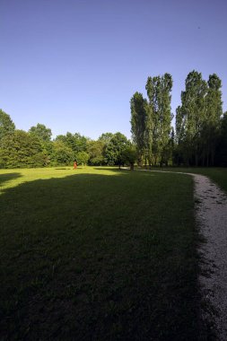 Bir parktaki gölgede kısmen yol
