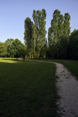 Bir parktaki gölgede kısmen yol