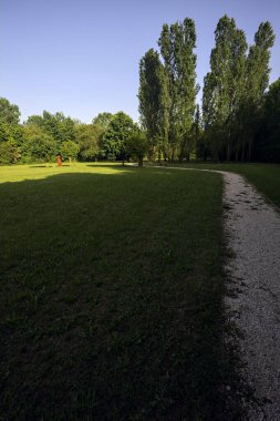 Bir parktaki gölgede kısmen yol