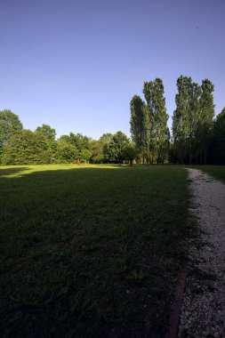 Bir parktaki gölgede kısmen yol