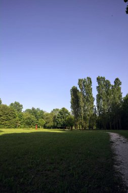 Bir parktaki gölgede kısmen yol