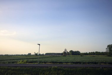 Gün batımında tarlalar ve ağaçlar