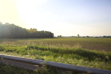 Gün batımında tarlalar ve ağaçlar
