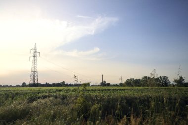 Gün batımında tarlalar ve ağaçlar