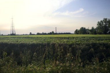 Gün batımında tarlalar ve ağaçlar