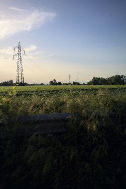 Gün batımında tarlalar ve ağaçlar