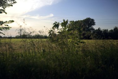 Gün batımında tarlalar ve ağaçlar