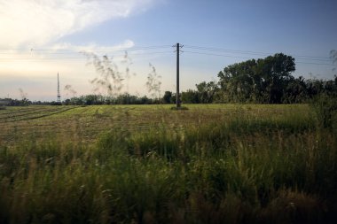 Gün batımında tarlalar ve ağaçlar