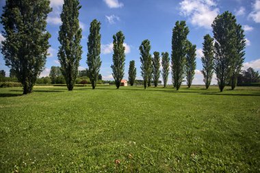 Parkta kavak ağaçlarıyla çevrili bir meydan.