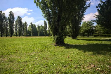 Parkta kavak ağaçlarıyla çevrili bir meydan.