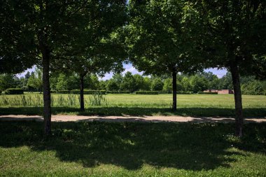 Güneşli bir günde parkta temizlik yapmak.