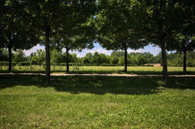 Güneşli bir günde parkta temizlik yapmak.