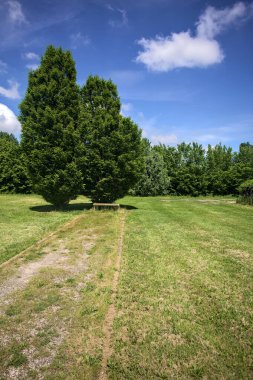 Parkta iki ağacın altında.