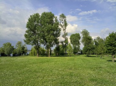 Gölün yanındaki parkta temizliyorum.