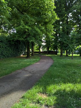 Parktaki ağaçların altındaki patika