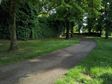 Parktaki ağaçların altındaki patika