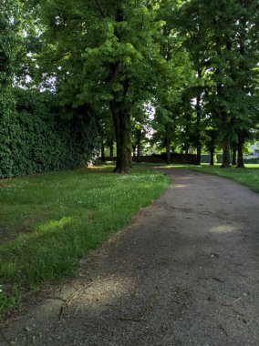 Parktaki ağaçların altındaki patika