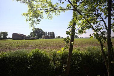 İtalya kırsalında ekilmiş tarla