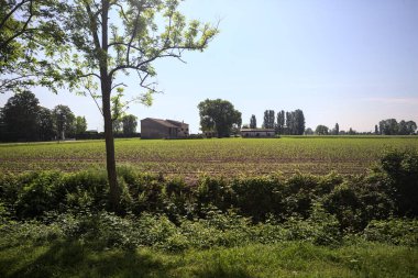 İtalya kırsalında ekilmiş tarla