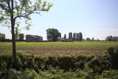 İtalya kırsalında ekilmiş tarla