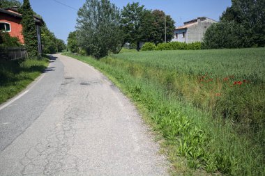 Bir tarla ile çevrili köy yolu